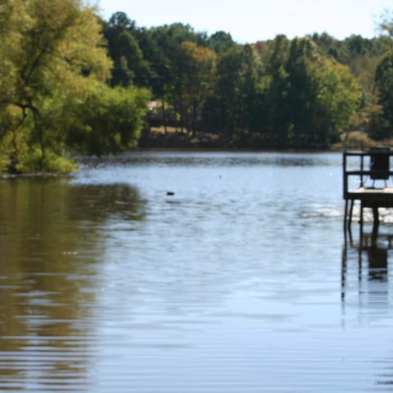 5e088767-a8a6-4ef5-89ea-c15d170e1f1c