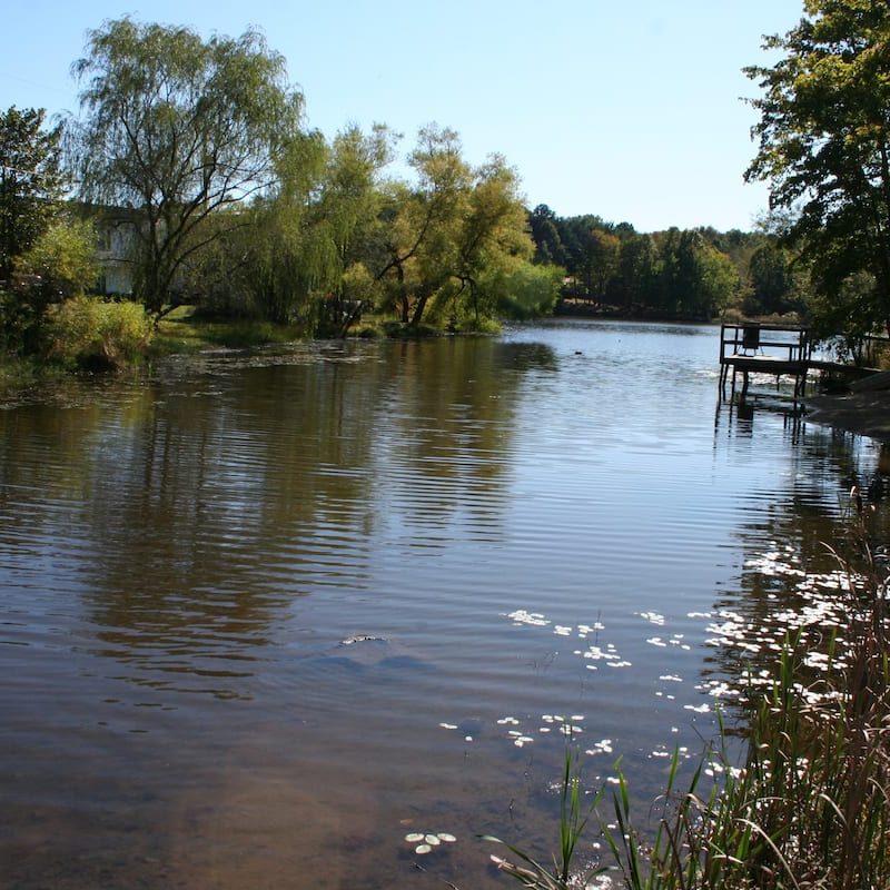 d1d4c87a-6564-4c47-9298-b10113da9127